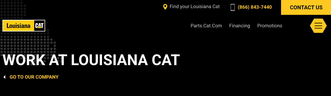Louisiana Cat